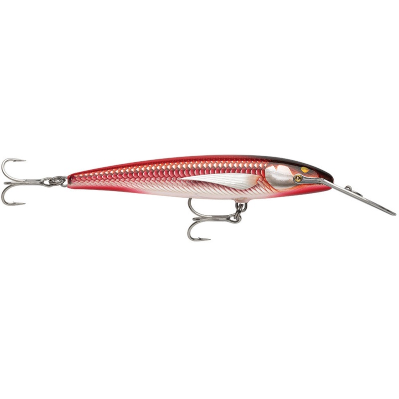 Rapala CountDown Magnum Elite 145 – 5-3/4″ – Armored Real Red Bait [CDMAGE145AMRRB]