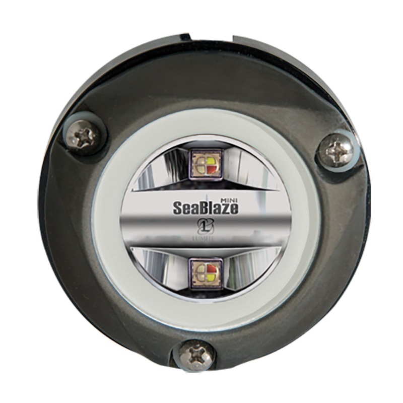 Lumitec Zambezi Mini Surface Mount Underwater Light – Spectrum RGBW – PLI Enabled [101833]