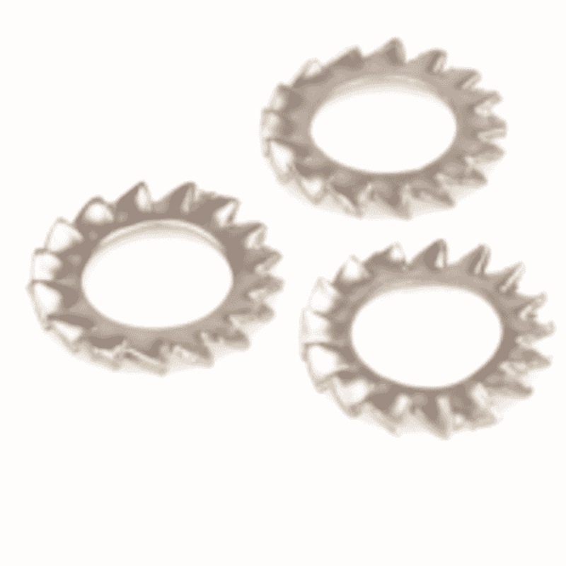 Washer Lock Serrated S/S M6 M6