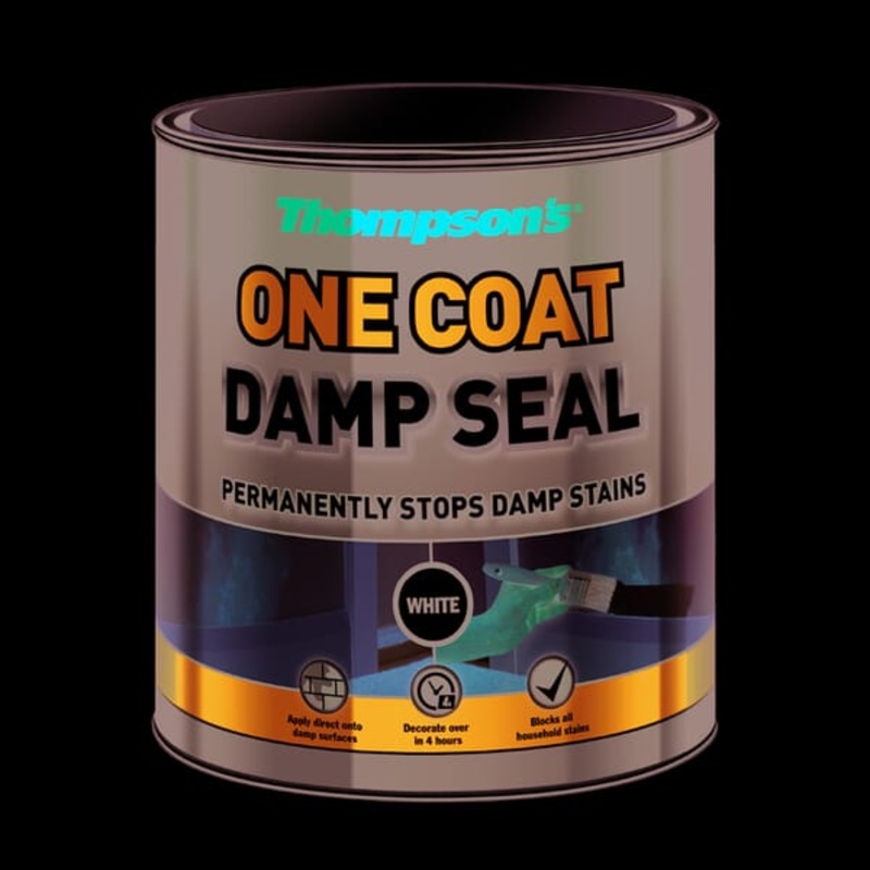 Damp Seal (One Coat) – Thompsons 2.5L