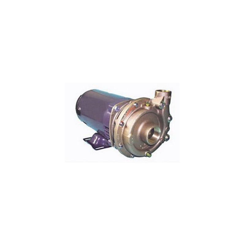 Oberdorfer 107MB-F25 Pump and Motor Pump and Motor